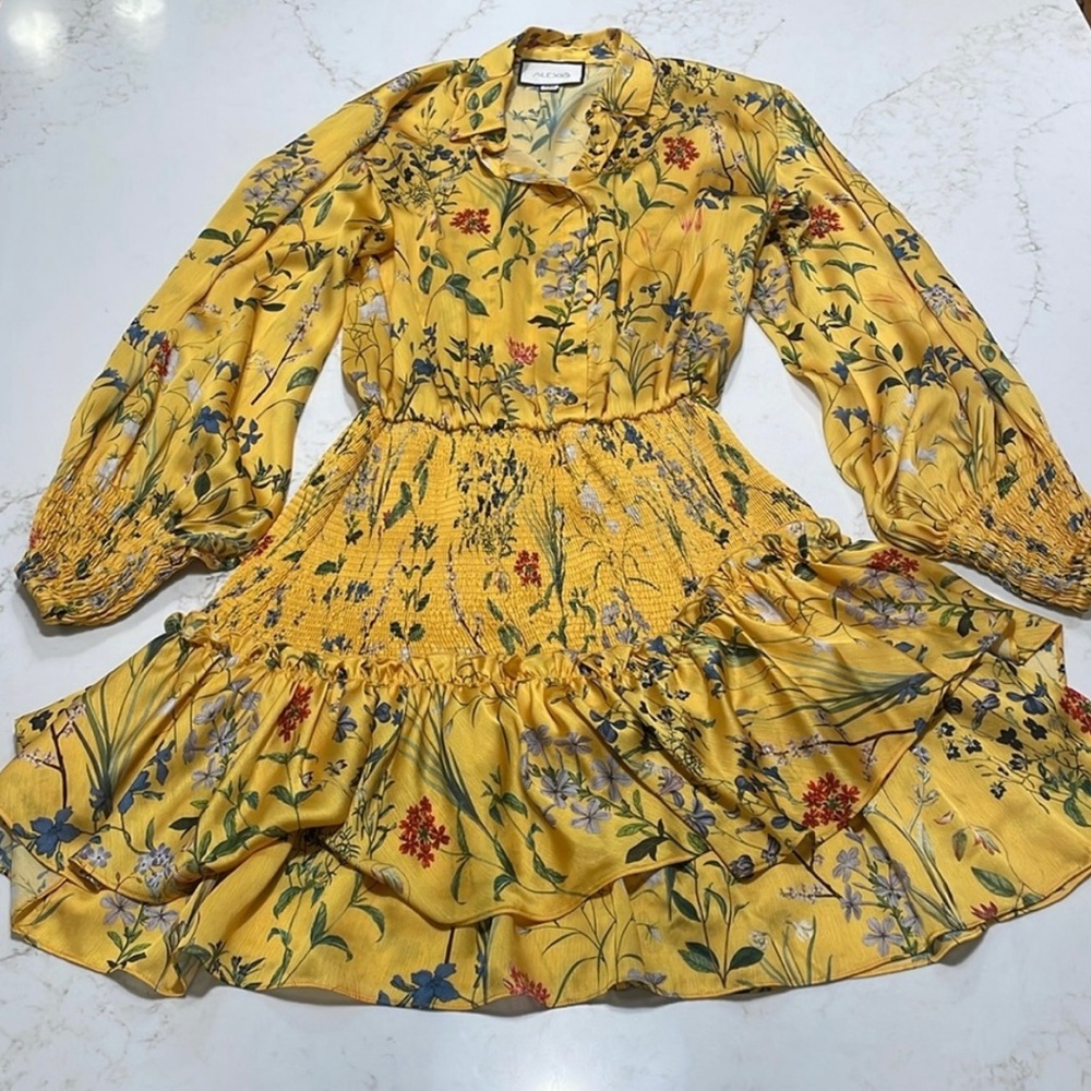 Alexis floral Rianna dress. Beautiful dress